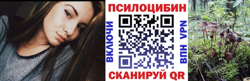 Галлюциногенные грибы Psilocybine cubensis  Купить закладки  Екатеринбург 
